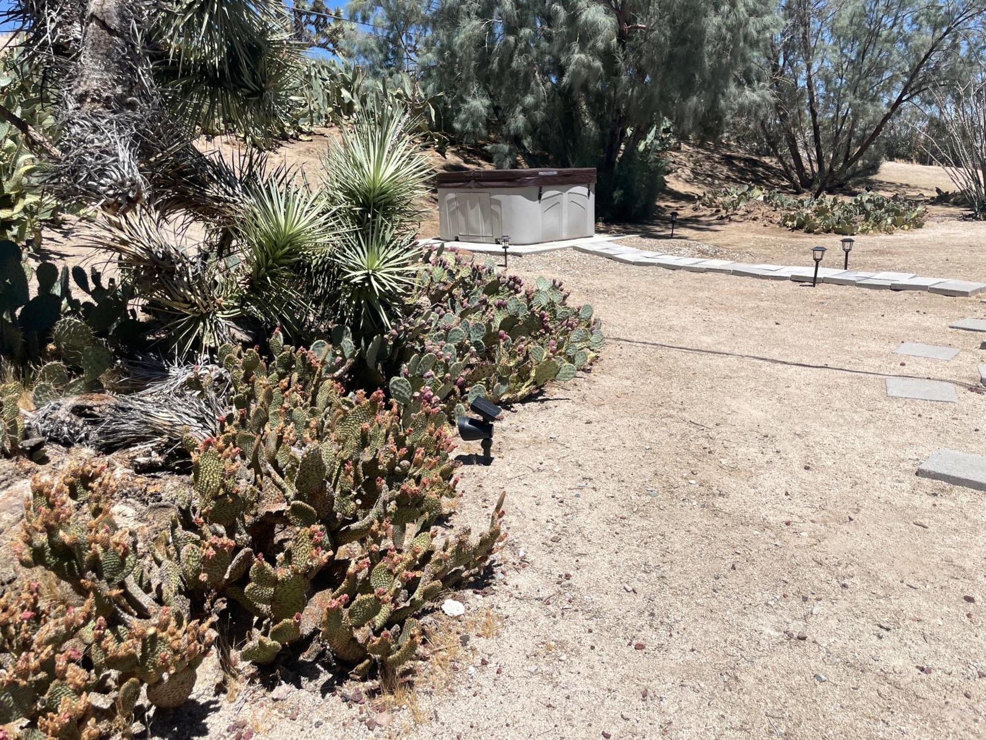 Mojave Desert Pied-A-Terre Yucca Valley Bagian luar foto